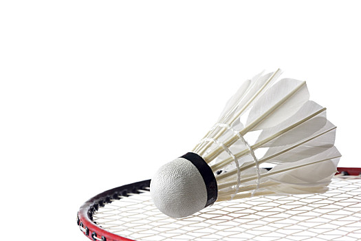 务端主导 务端主导